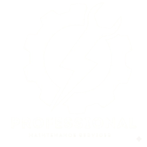 professional maintenance service